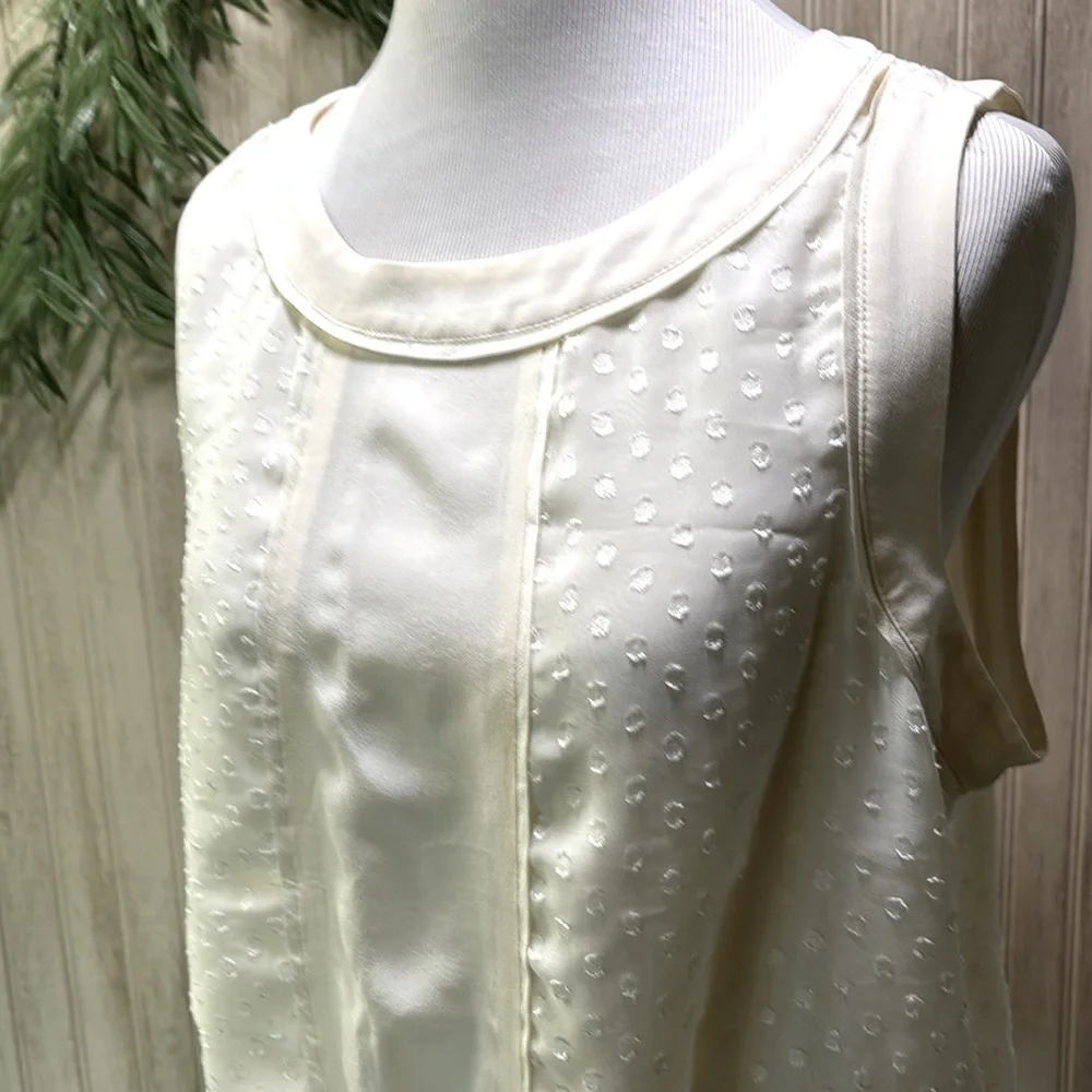 Daniel Rainn Silk Lined Peplum Blouse, Medium, NWOT, Cream Ecru Sheer Elegant - Picture 2 of 14